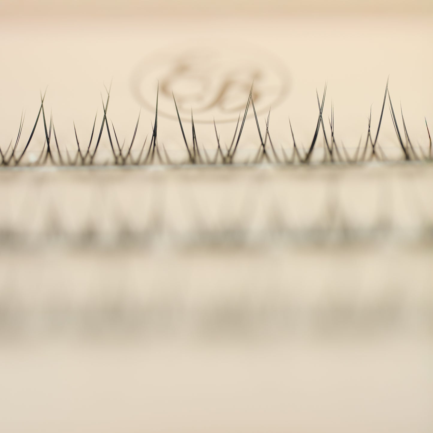 Cluster Lash M12 Natural Lash